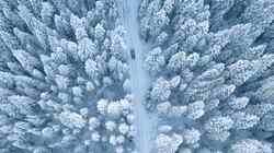 Ein Auto fährt durch eine beschneite Straße, neben der Straße sind schneebedeckte Bäume. Aus vogelperspektive fotografiert.