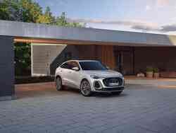 Ein silbriger Audi Q5 parkt vor einem Haus